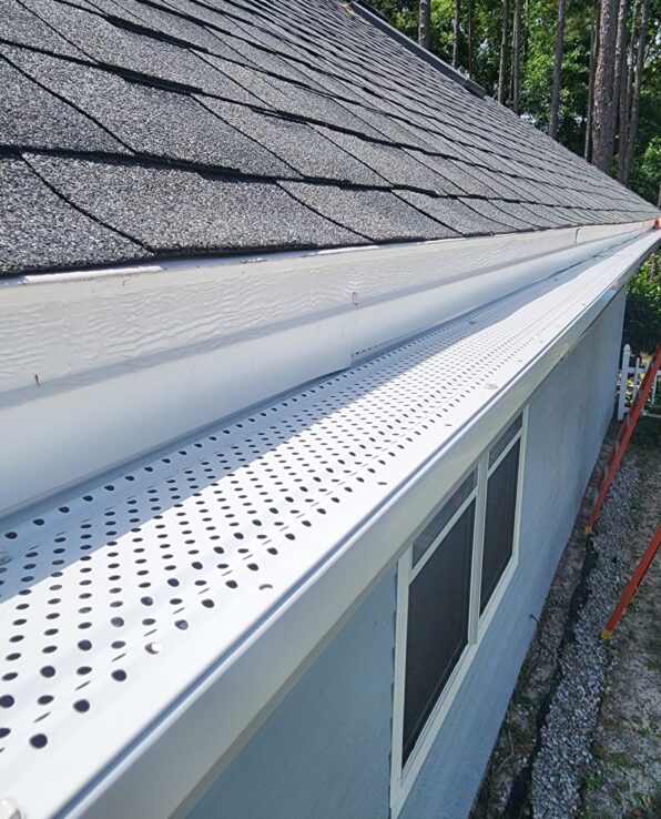 1000025591 1000025591